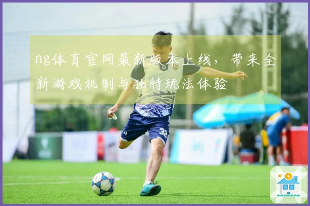 ng体育官网最新版本上线，带来全新游戏机制与独特玩法体验